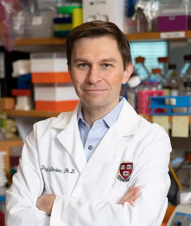 Portrait of Dr. David A. Sinclair